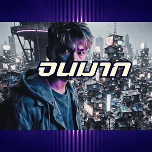 จนมาก (feat. DJ Sawadee)