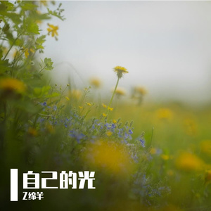 自己的光