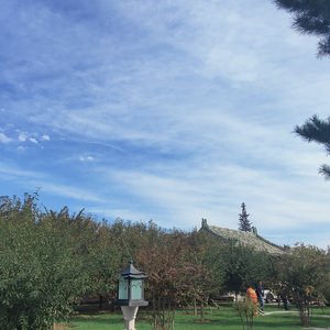 红豆（暖阳版）