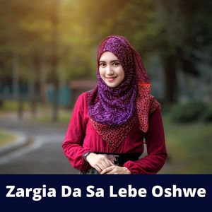 Zargia Da Sa Lebe Oshwe