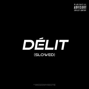 Delit (Slowed Down) (feat. Nono La Grinta)
