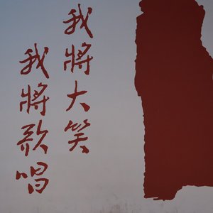 笨蛋