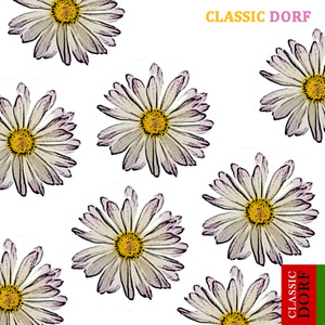 Chopin : Nocturne in B major Op.32, No.1