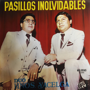 Dicha Perdida