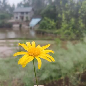 远方的姑娘一起去流浪