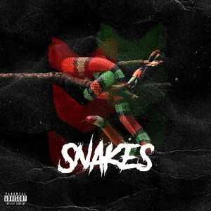 Snakes