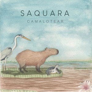 Cuida el humedal (rasguido doble)