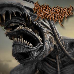 Hyper-Dimensional Desecration