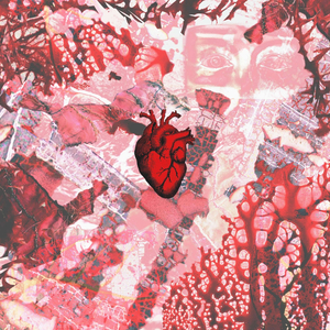 Сердце