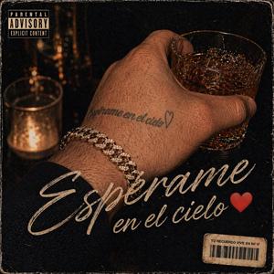 Esperame en cielo