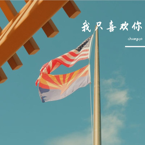 我只喜欢你