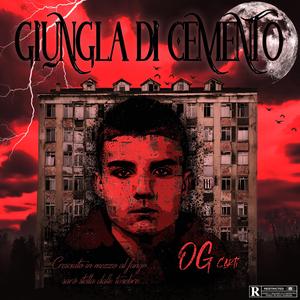 Giungla di cemento