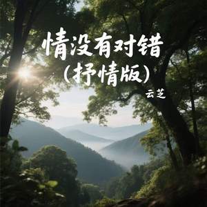 情没有对错(抒情版)