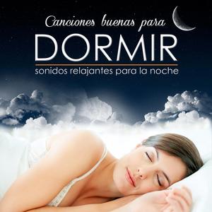 Relajándote en el Bosque
