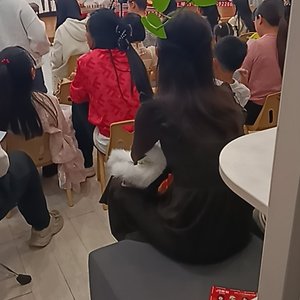 杨艺人-简历上的空白