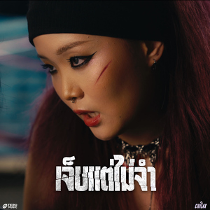 เจ็บแต่ไม่จำ (Instrumental)