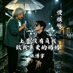 上苍没有负我致我亲爱的妈妈慢摇版