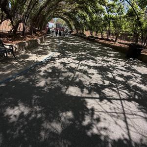 My Fully (feat. brantautoooo)