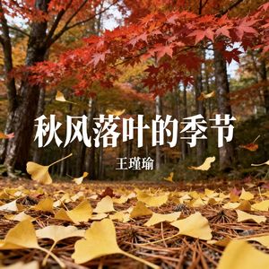 秋风落叶的季节