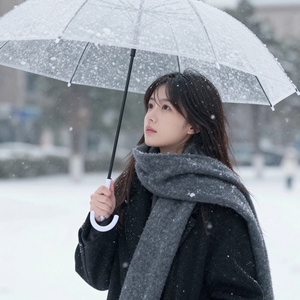 欠我的雪和告别