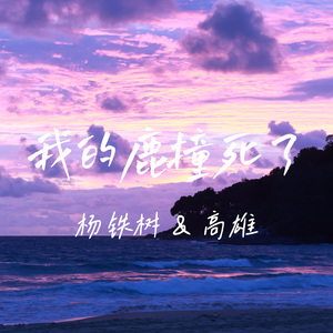 我的鹿撞死了 with 杨铁树