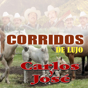 La Montura Ensangrentada