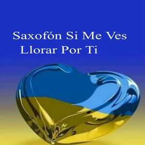 Enriquecimiento Del Intelecto