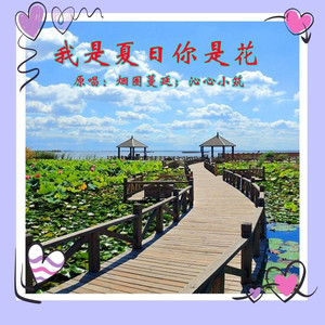 我是夏日你是花 (对唱版)
