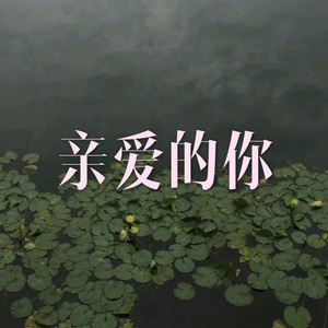 如果来生还能遇见你 (高潮版)