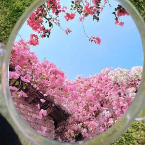 荒野中的沉默城堡