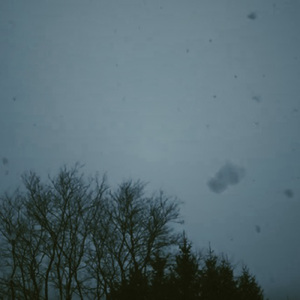 snow globe