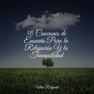 Secuencia De Sueño
