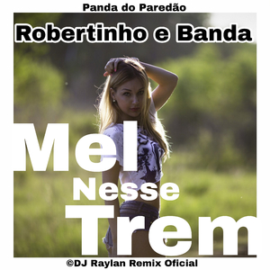 Mel Nesse Trem (Remix)
