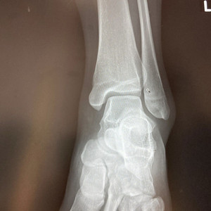 偶然出会っただけ