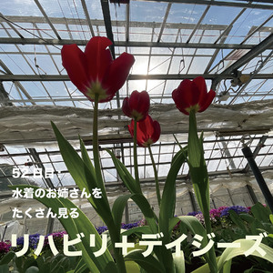 52日目:水着のお姉さんをたくさん見る
