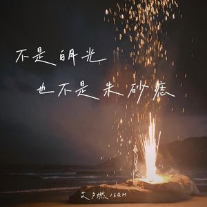 不是白月光也不是朱砂痣