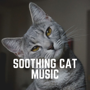 Your Kitten's Hobby to Listen
