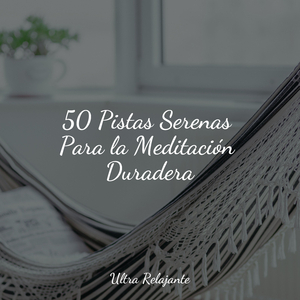 Mirar Fijamente A La Niebla