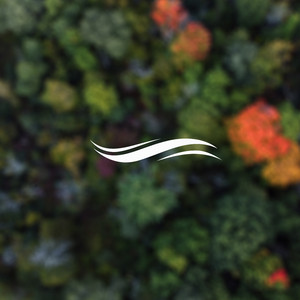 Dreamwalker (Original Mix)