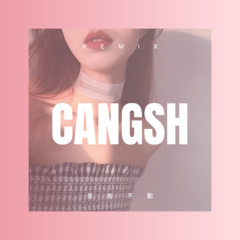 鲜花送妈妈 (Remix)