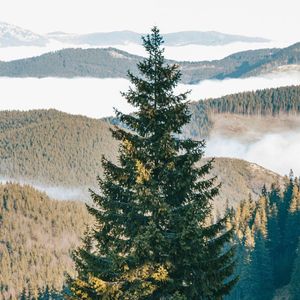 无话不谈的曾经