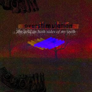 The Acid On Both Sides Of My Teeth