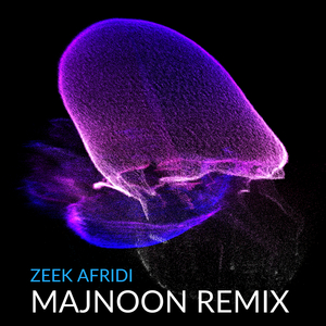 Majnoon (Remix)