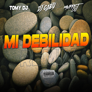 Mi Debilidad (Remix)