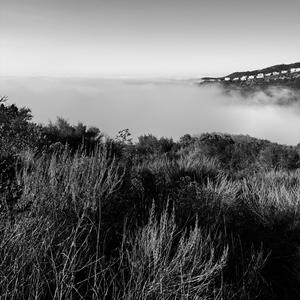 Angel (Free Instrumental)