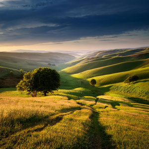 Flujo De Ritmo De Serenidad