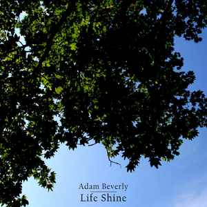 Life Shine