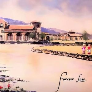 最后还是受伤了