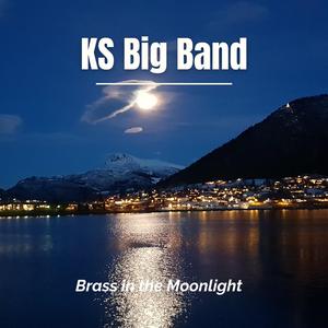 Brass in the Moonlight
