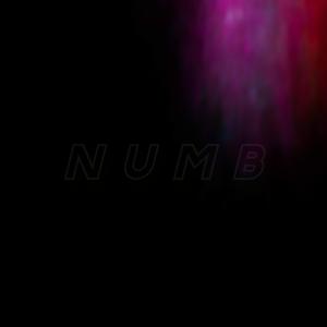 N U M B ( NUMB )